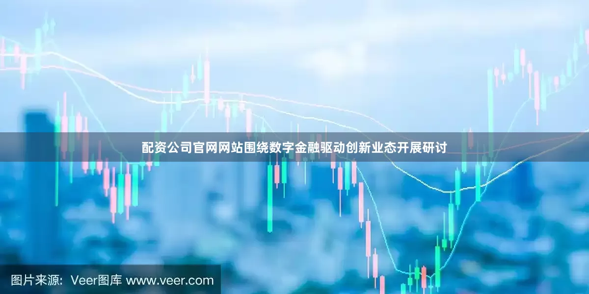 配资公司官网网站围绕数字金融驱动创新业态开展研讨