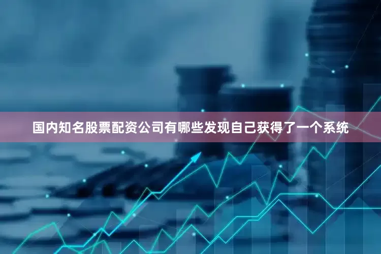 国内知名股票配资公司有哪些发现自己获得了一个系统