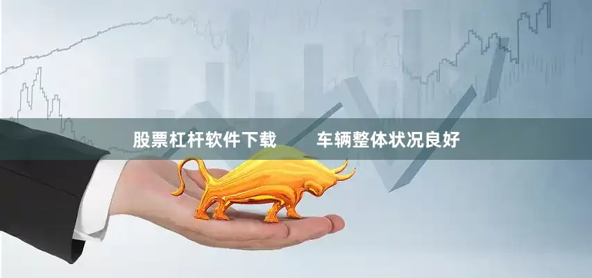股票杠杆软件下载        车辆整体状况良好