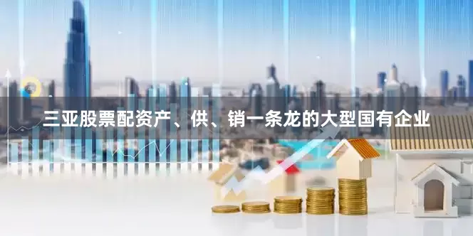 三亚股票配资产、供、销一条龙的大型国有企业