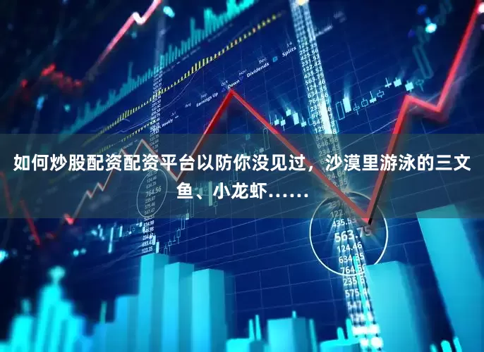 如何炒股配资配资平台以防你没见过，沙漠里游泳的三文鱼、小龙虾……