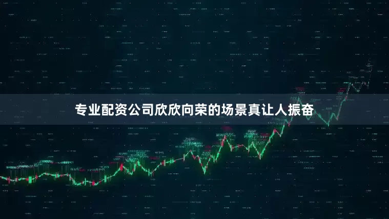 专业配资公司欣欣向荣的场景真让人振奋